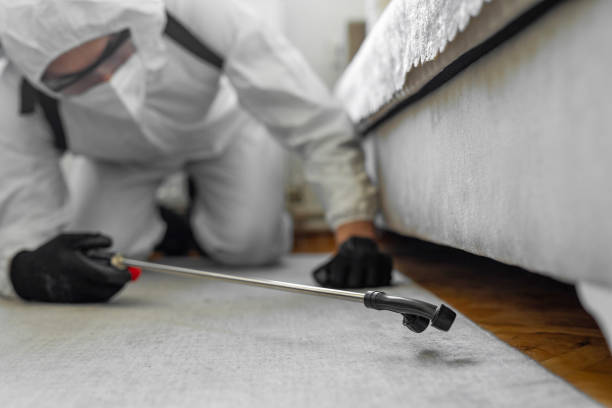 Professional Mosquito Control technician working in Diamond, IL