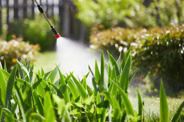 24/7 Emergency Mosquito Control experts in Diamond, IL