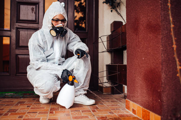Reliable Mosquito Control contractor in Diamond, IL by Nex Pest Control